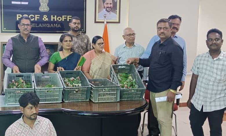 One arrested for smuggling 110 Alexandrine parrots to Hyderabad