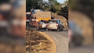 Elephant attacks lorry for food in Bandipur National park