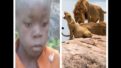 Zimbabwean boy wanders off from village, survives in National park for 5 days