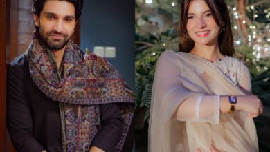Dananeer Mobeen & Ahad Raza Mir spark dating rumours, pic viral