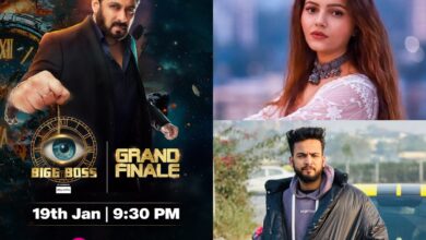 6 Seniors in Bigg Boss 18 finale: Elvish to Rubina, check names