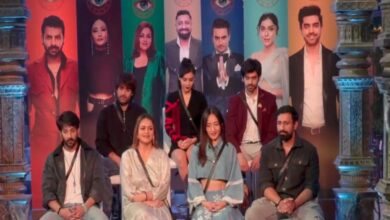 Bigg Boss 18 grand finale: Meet bottom 3 contestants