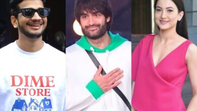 Will Vivian Dsena win Bigg Boss 18? List of 20 celebs supporting him