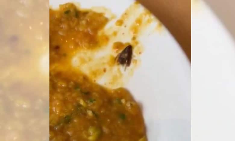 Cockroach found in sambar rice at restaurant in Hyderabad's Begumpet; complaint filed