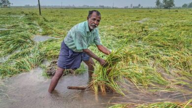Cyclone Fengal causes unprecedented devastation in Puducherry in 2024