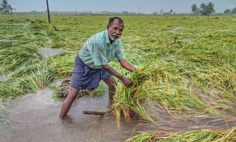 Cyclone Fengal causes unprecedented devastation in Puducherry in 2024