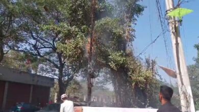 Fire breaks out at graveyard on Hyderabad's Puranapul road