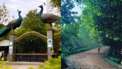 Heading to Hyderabad's KBR Park for a day out? Check out this guide