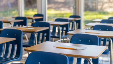 Telangana govt grants Rs 11,000 cr for Young India Integrated Residential Schools