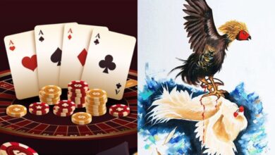Police raids casino and cockfight event at Moinabad farmhouse, take 64 into custody.