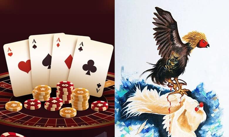 Police raids casino and cockfight event at Moinabad farmhouse, take 64 into custody.