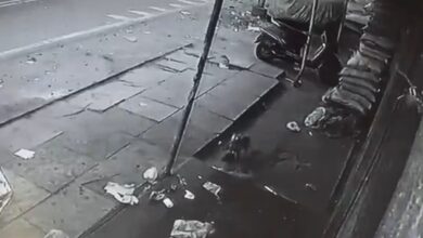 Cat, not conspiracy, behind Hyderabad temple meat row: Police