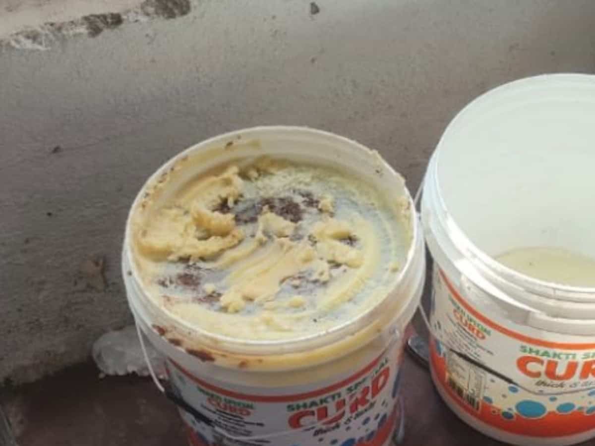 Dead lizard found during raid at dairy unit near Hyderabad