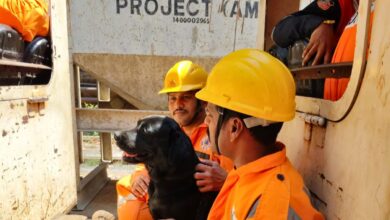Sniffer dogs deployed to find trapped workers in SLBC tunnel