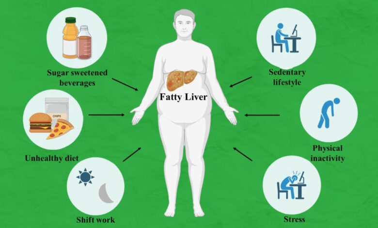 Long working hours, stress affect liver health of Indian IT workforce: UoH Study