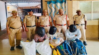 Three arrested for drug peddling in Madhura Nagar; 41 kg ganja seized