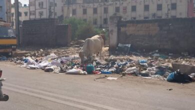 Hyderabad residents urge reinstatement of garbage disposal bins
