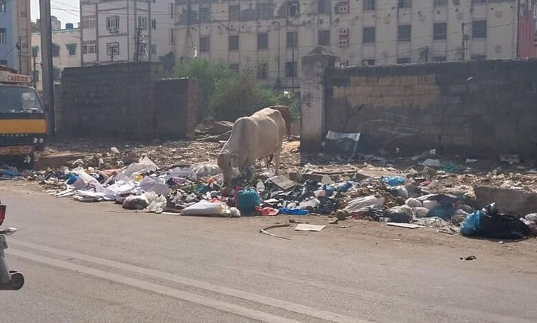 Hyderabad residents urge reinstatement of garbage disposal bins