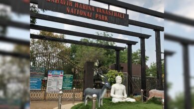 Telangana forest dept battles land grabbers eyeing Mahavir Harina National Park