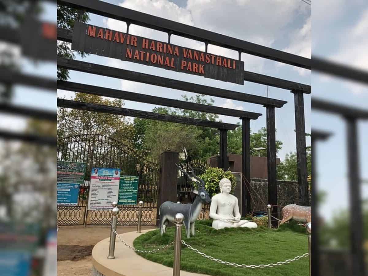 Telangana forest dept battles land grabbers eyeing Mahavir Harina National Park