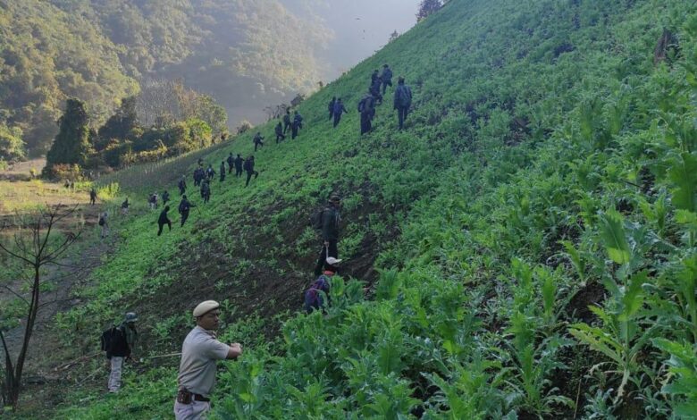 Manipur Police destroy Poppy cultivation
