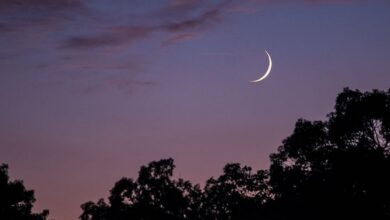 Eid Al Adha 2025: Dhul-Hijjah crescent sighted in India