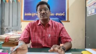 50 stray dogs euthanised in Telangana's Mancherial