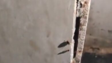 Raid in Hyderabad uncovers cockroach infestation at Indigo supplier