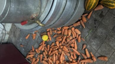 Raids at restaurants in Hyderabad uncover cockroach infestation