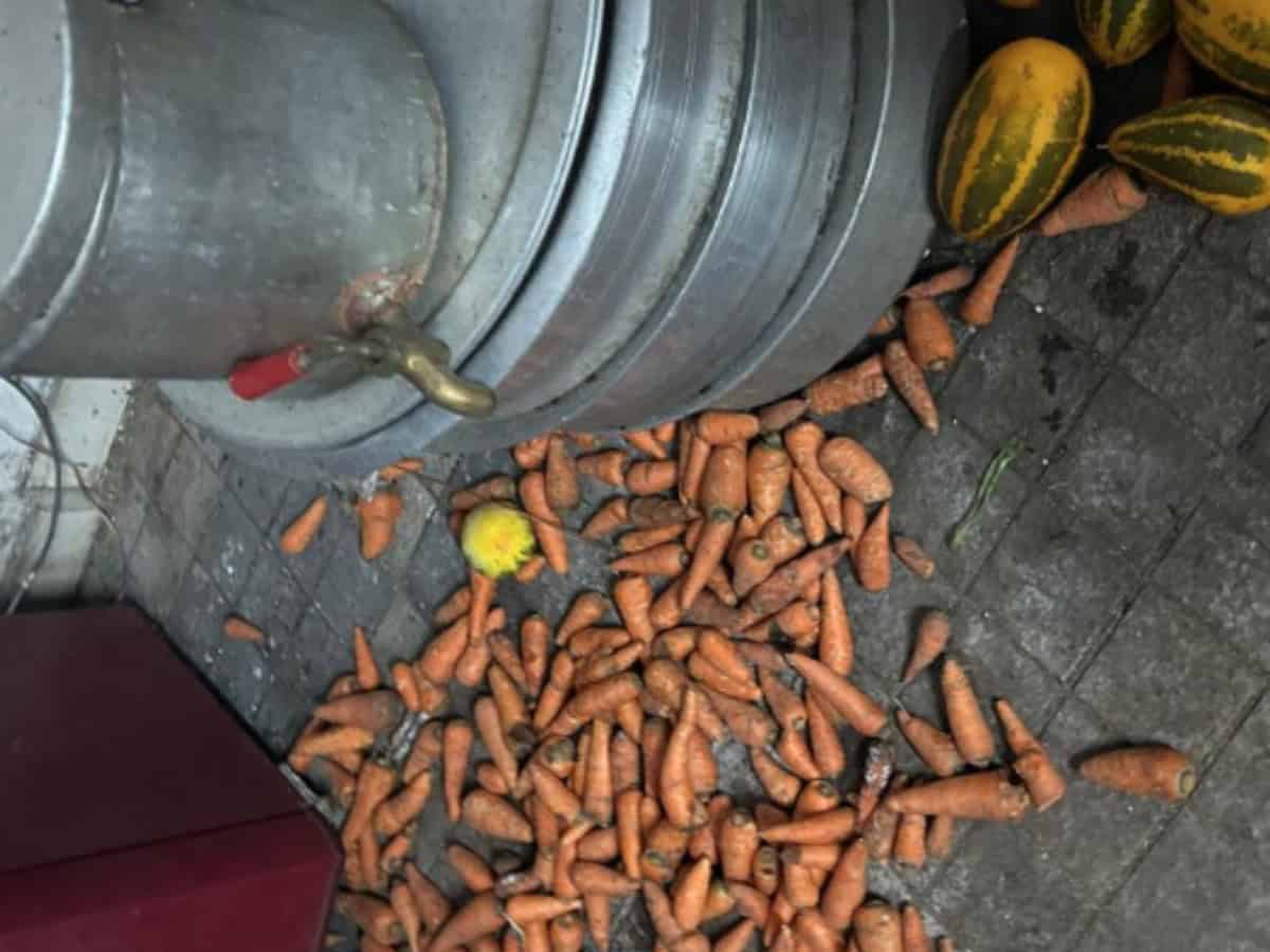 Raids at restaurants in Hyderabad uncover cockroach infestation