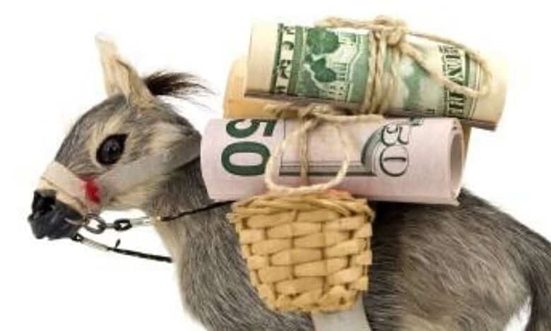 Banking experts feels that artificial intelligence and machine learning could hold the key to identifying mule accounts used in cyber crime.
