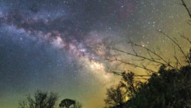 Stargazing camp in Hyderabad suburbs blends ancient stories with twinkling skies