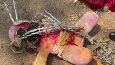 Students panic as 'black magic' items found at Telangana school