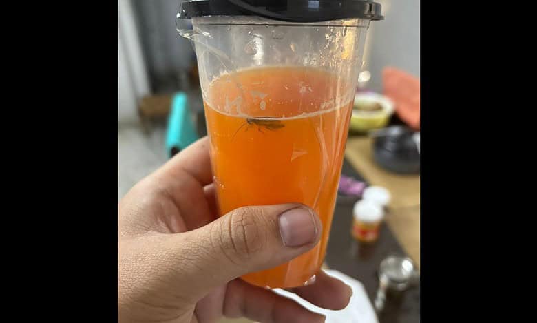 Hyderabad man finds cockroach in Swiggy-delivered restaurant food