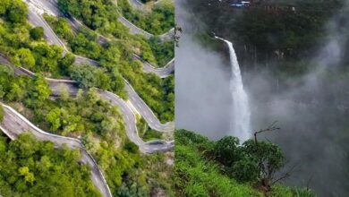 Summer 2025: List of 5 hill stations under 700 km from Hyderabad