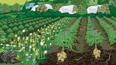 3-day horticulture workshop to begin on Friday, February 7.