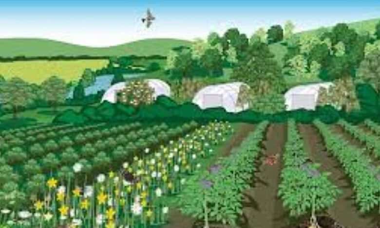 3-day horticulture workshop to begin on Friday, February 7.
