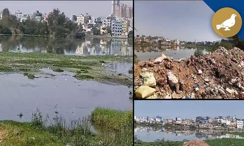 Hyderabad’s Shah Hatim Lake near Golconda on verge of disappearance