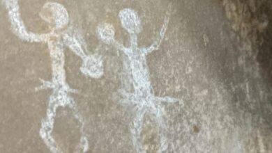 4th-16th century inscriptions found in Andhra’s Lankamala forest