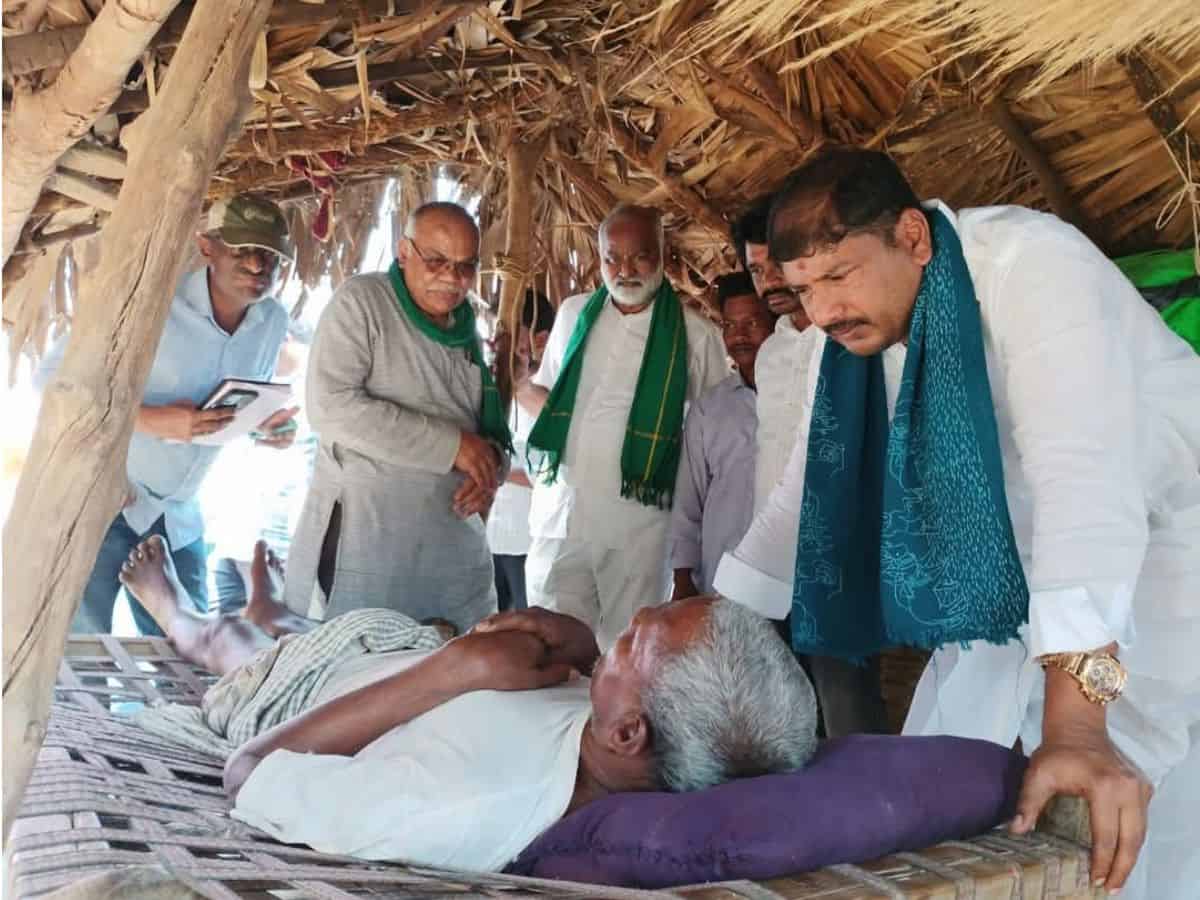 Adivasi farmers in Mulugu district suffer losses and lose health due to maize seeds given by seed companies.