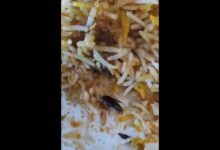 Video: Cockroach found biryani at restaurant on Necklace road