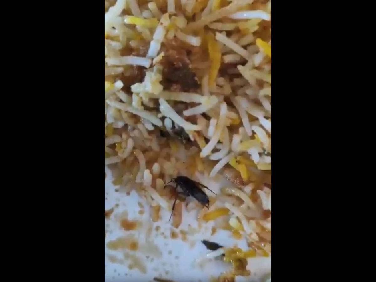 Video: Cockroach found biryani at restaurant on Necklace road