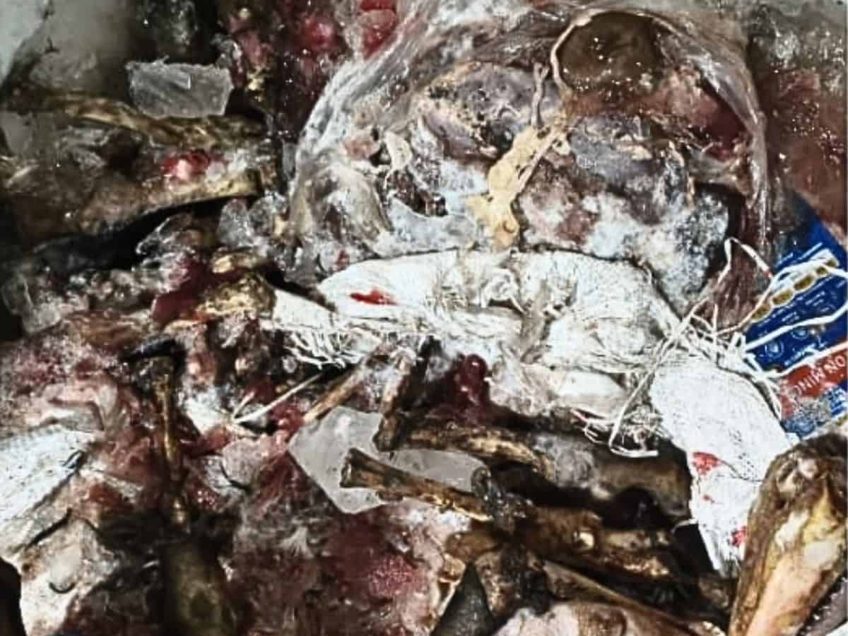 Rotten bheja, gurde, other offal seized in Dabeerpura