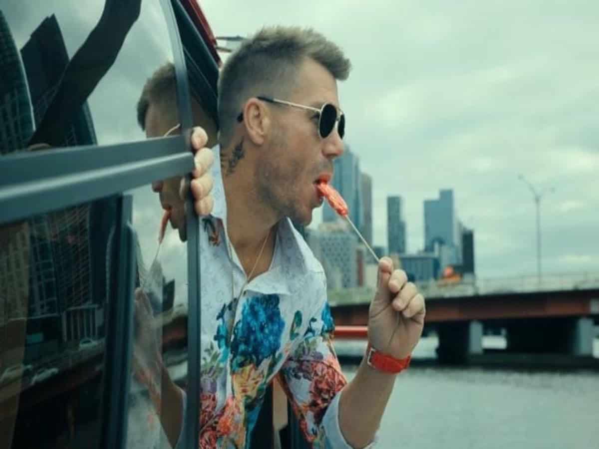 How much did David Warner got paid for his Telugu debut film