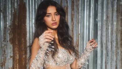 How much did Disha Patani charge for her IPL 2025 performanceHow much did Disha Patani charge for her IPL 2025 performance