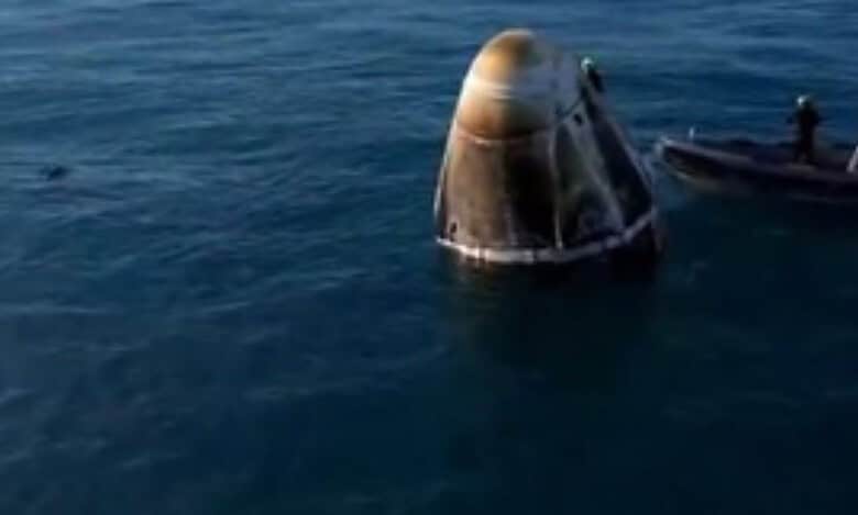 _Dolphins greet astronauts as they return home