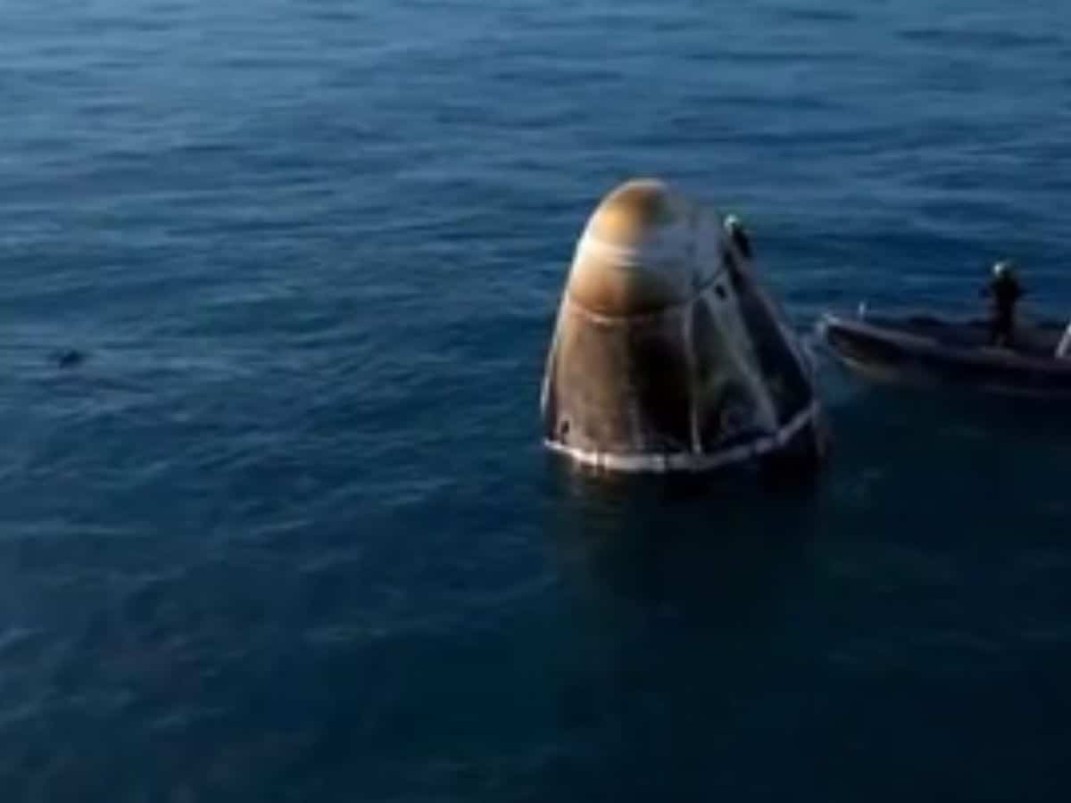 _Dolphins greet astronauts as they return home