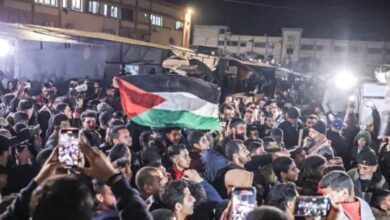 Egypt, Palestine discuss efforts to uphold Gaza ceasefire