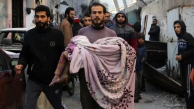 Over 50,000 Palestinians killed in Gaza as Israel strikes intensify