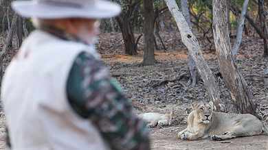 PM Modi at Gir Wildlife Sanctuary